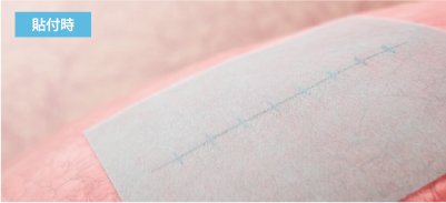 貼付時のイメージ
