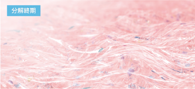 分解終期のイメージ