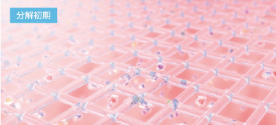 分解初期のイメージ