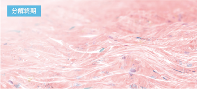 分解終期のイメージ